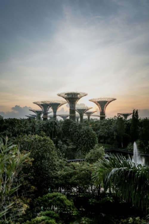 Super trees at Gardens by the Bay