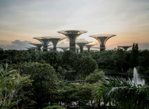 Super trees at Gardens by the Bay